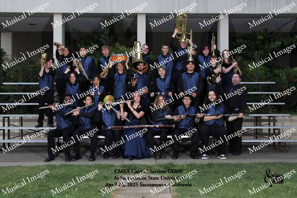 Musical Images